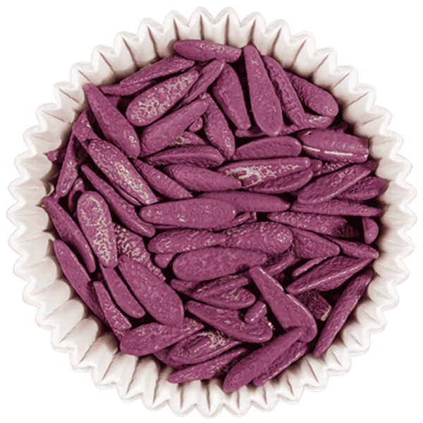 Purple Sunflower SmartBeans